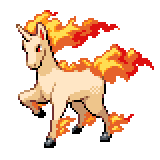 Rapidash